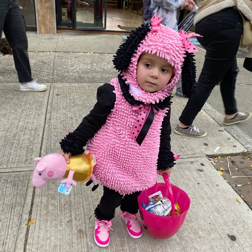 Toddler poodle costume